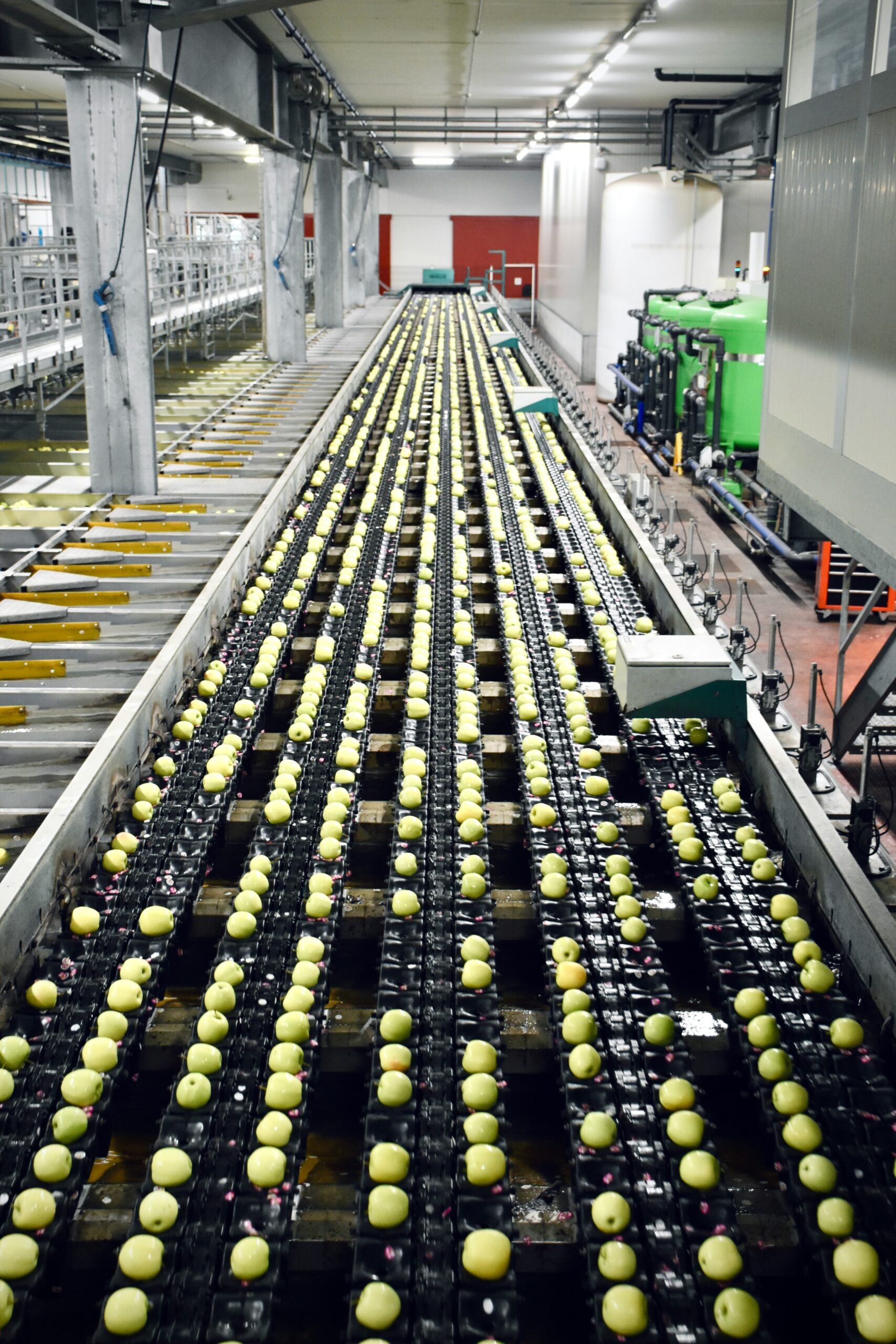 Pozyskaj 10 mln bezzwrotnej dotacji dla przedsiębiorstwa z branży przetwórstwa produktów rolnych